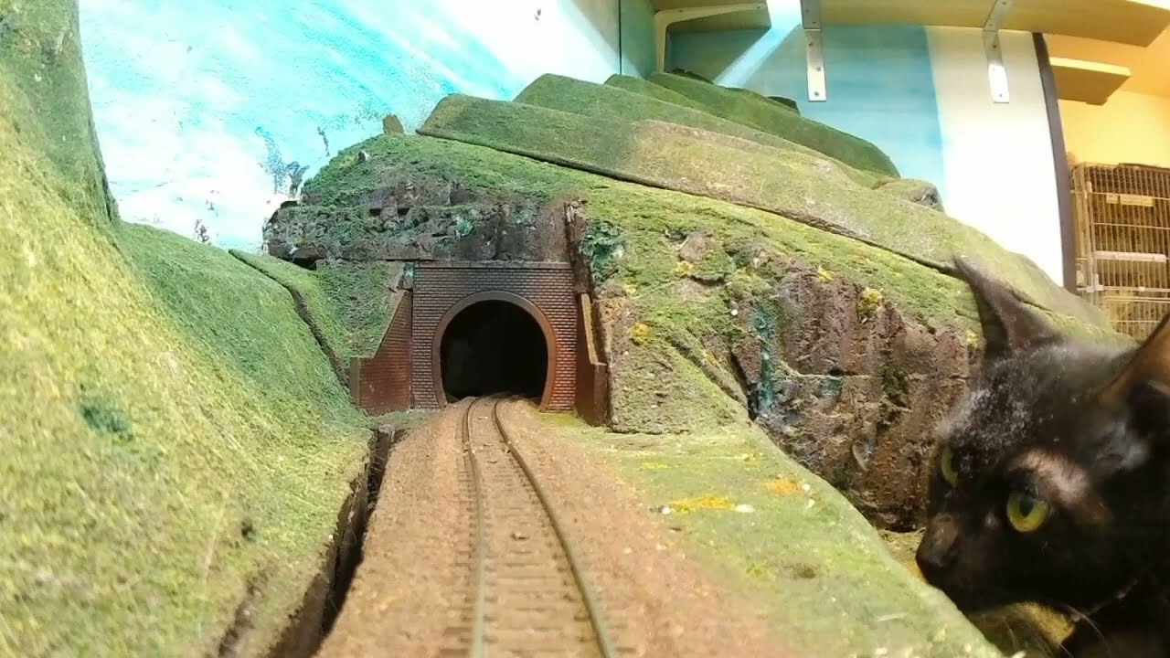 Do you really want to take this tourist train? Someone please make a game based on this!