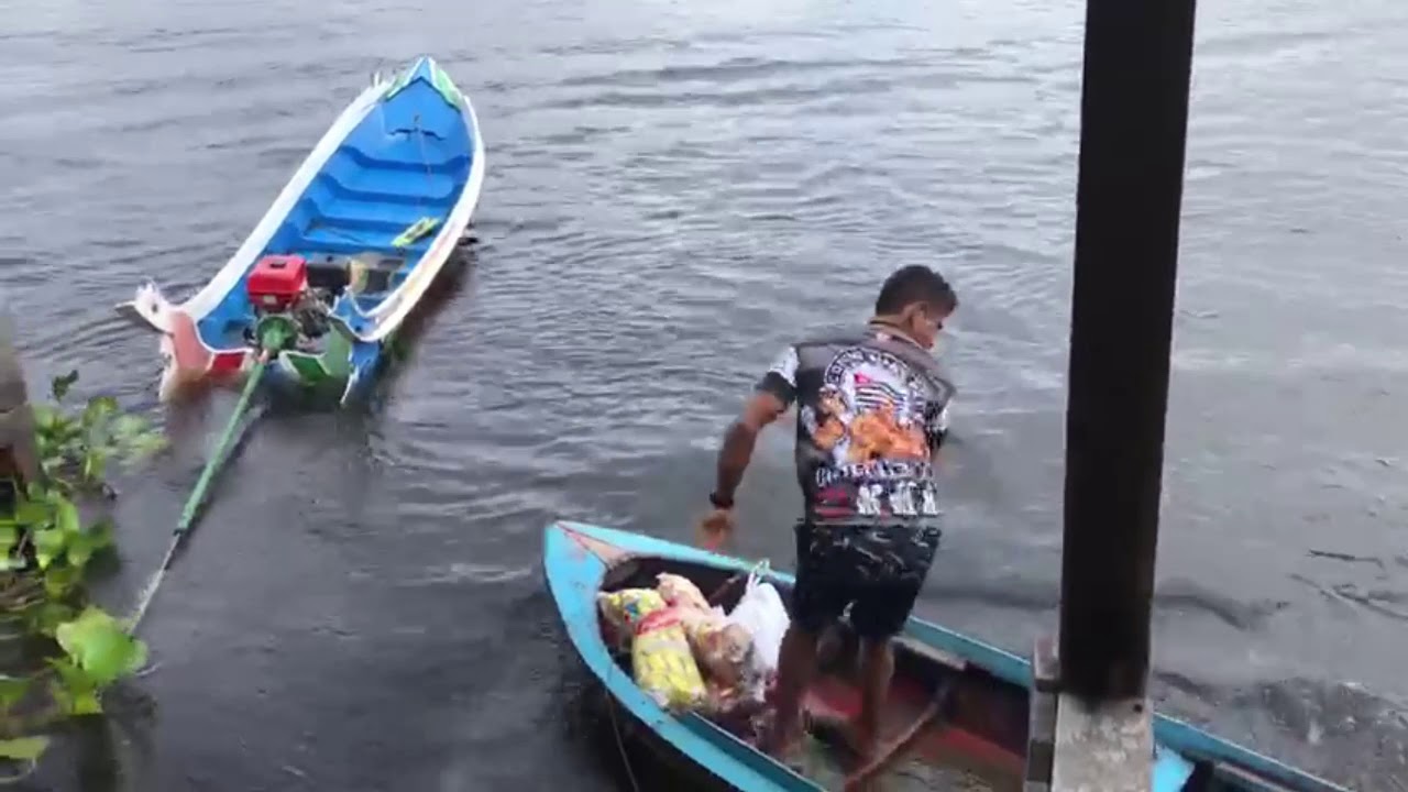 Rabeta desgovernada em rio do Marajó