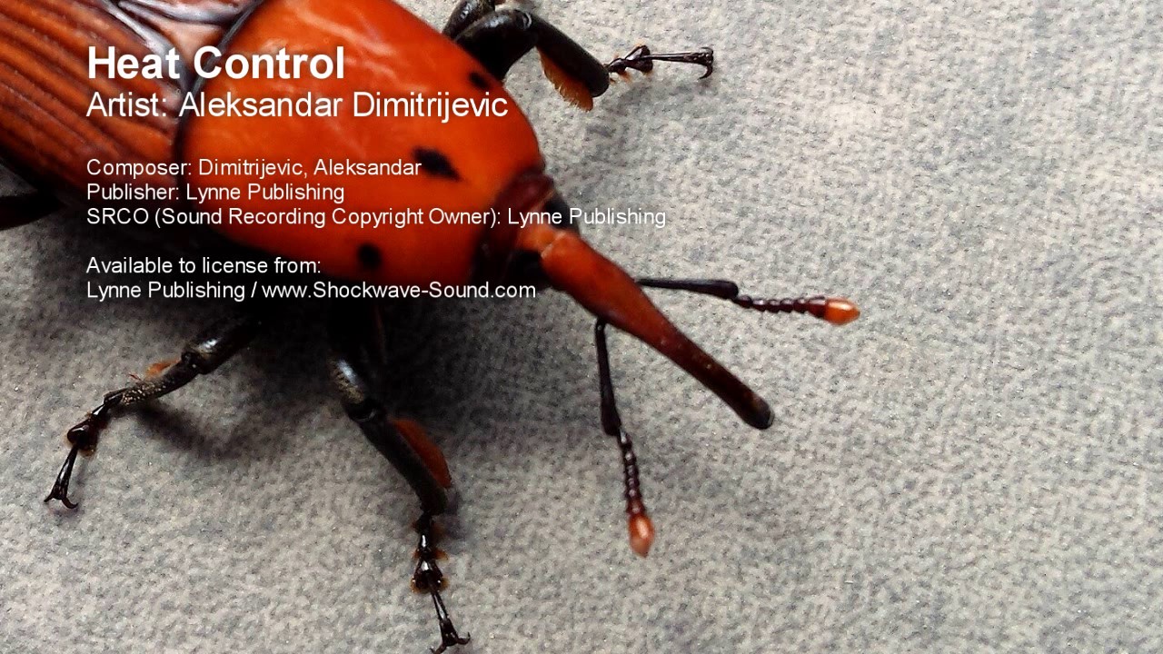 Heat Control - Aleksandar Dimitrijevic | Classic Rock | Royalty Free Music | Shockwave-Sound