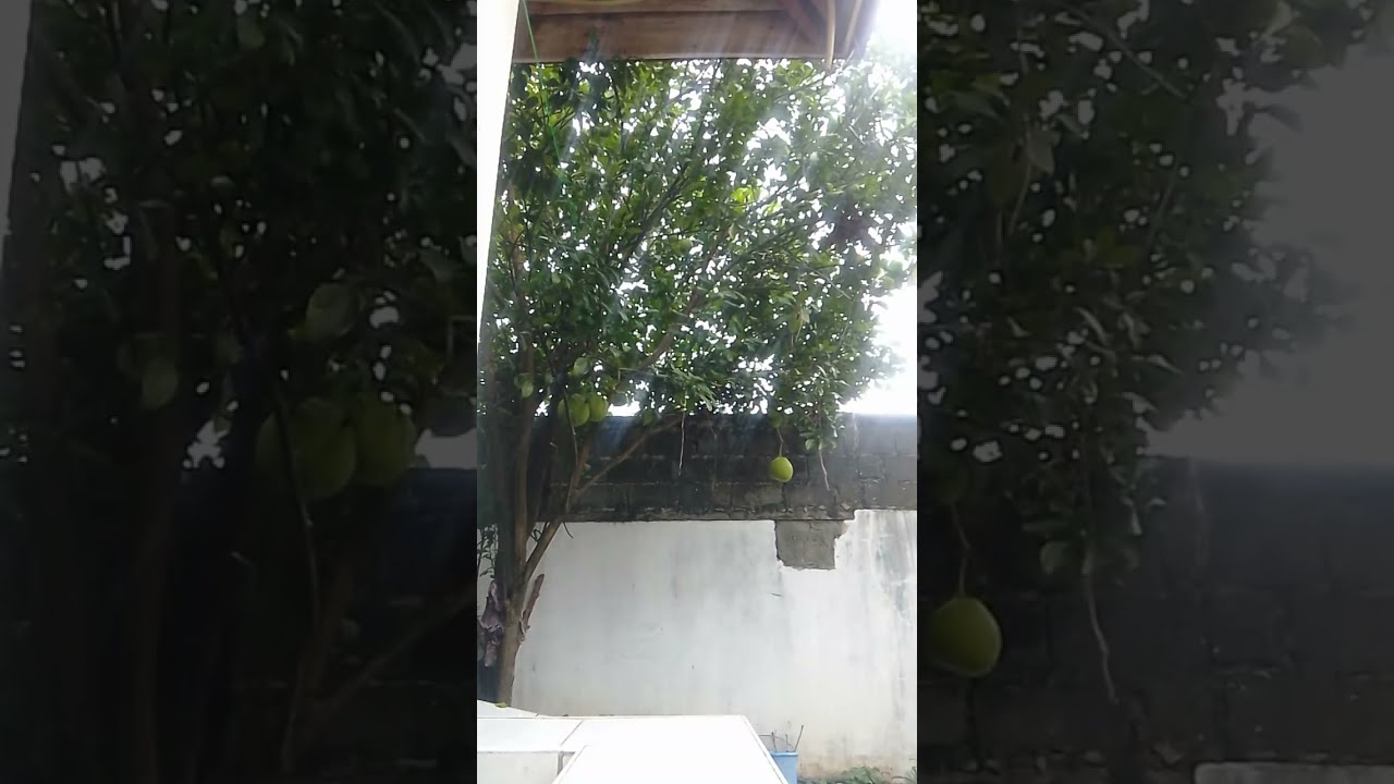 Rainy Friday