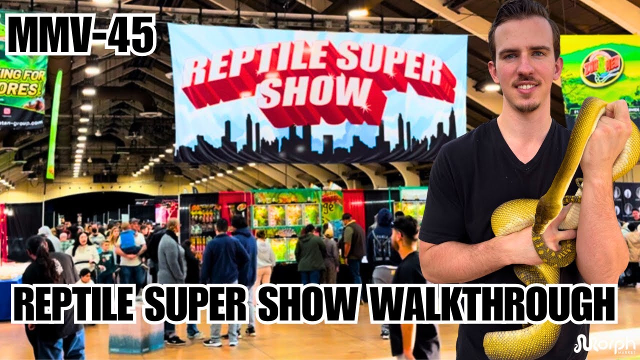 The COOLEST Reptiles At The Reptile Super Show Pomona California | FULL WALKTHROUGH
