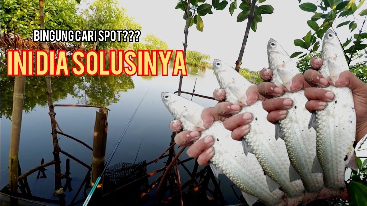 Mancing Belanak. BINGUNG CARI SPOT ⁉️ INI TIPS nya ‼️