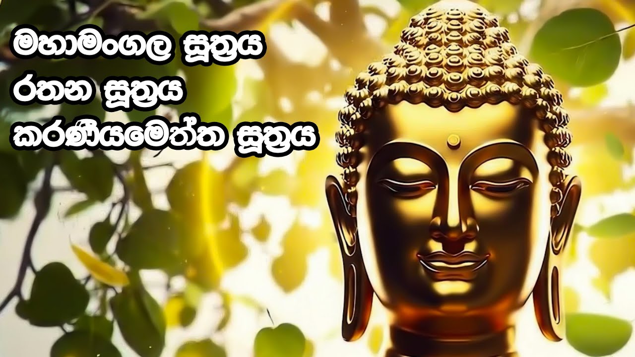 තුන් සූත්‍රය | Thun Suthra Deshanawa | DHAMMA VIBE SL