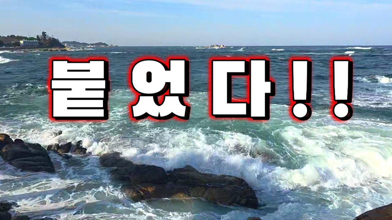 동해안 봄고기들이 붙었다 !! 맛도 손맛도 최고의 녀석들을 잡아보자 !