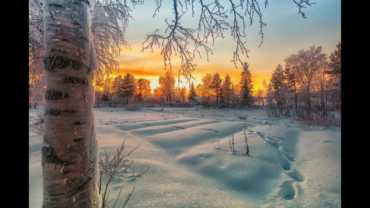 Опять зима и листья в перламутре