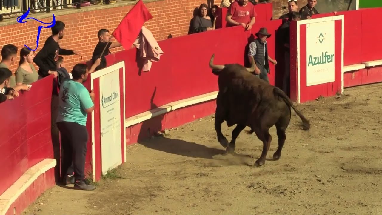 PASCUA TAURINA ONDA ARRIAZU PRIMERA PARTE