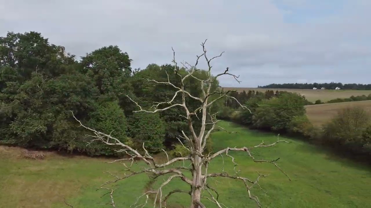 Max FPV Flug mit Mavic Mini 2 und Litchi App am Lerchenberg