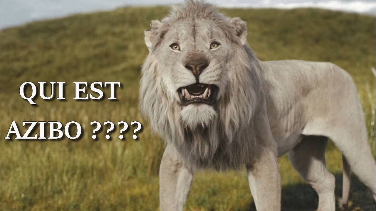 LE ROI LION : Qui est Azibo ?