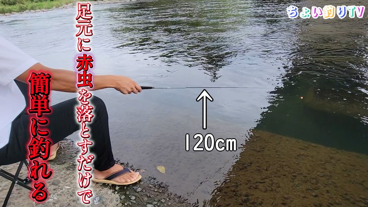 【タナゴ竿で小物釣り】橋脚の溝に赤虫を落としたら入れ食いだった