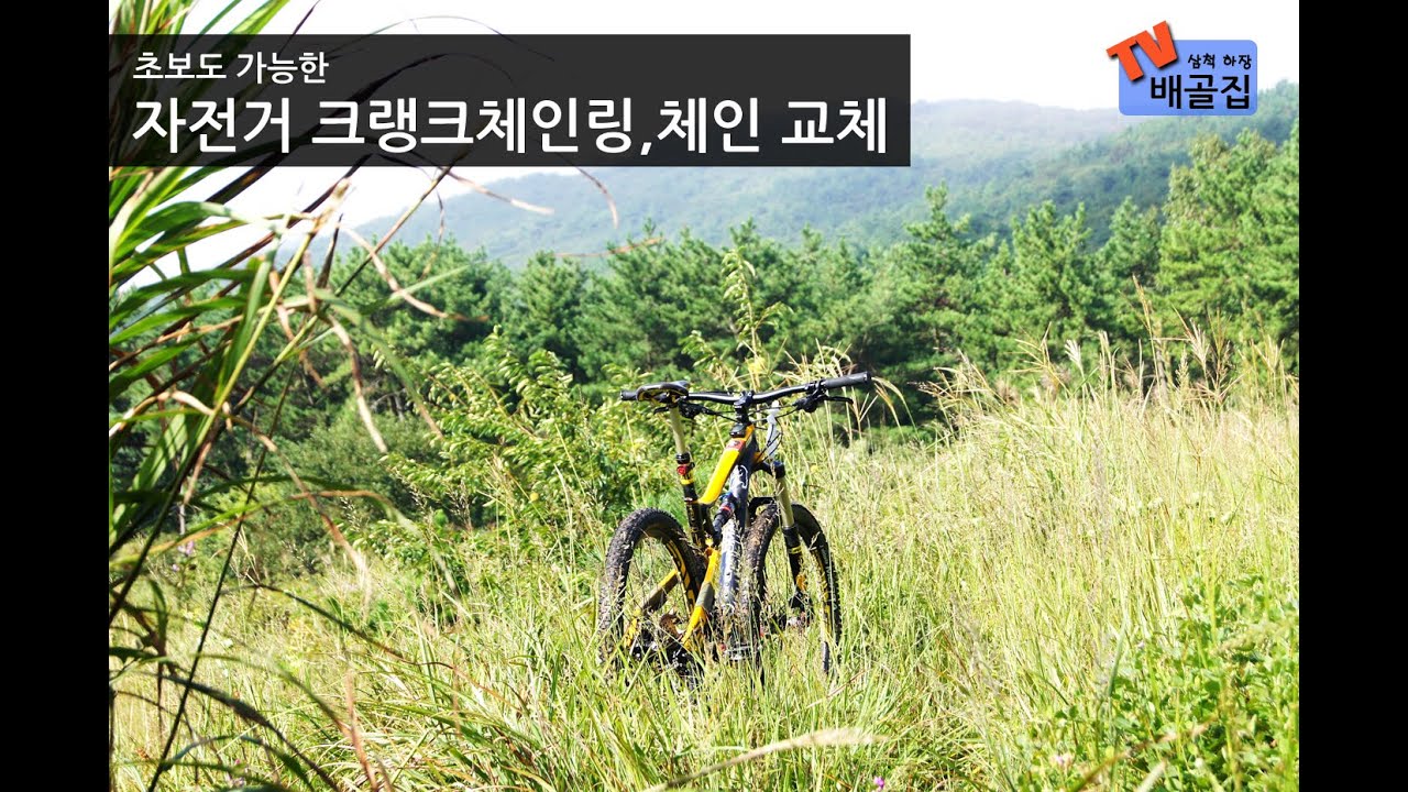 체인링교환