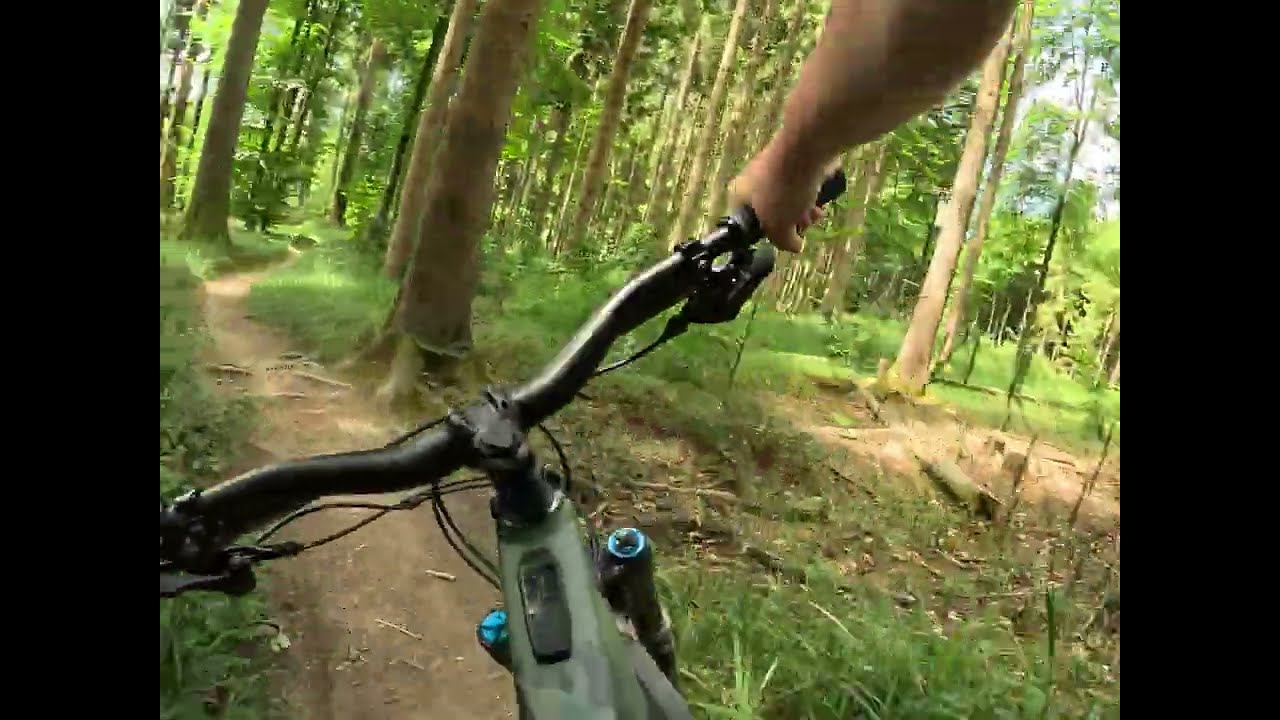 Gehrenberg 2025 Gehro Trail