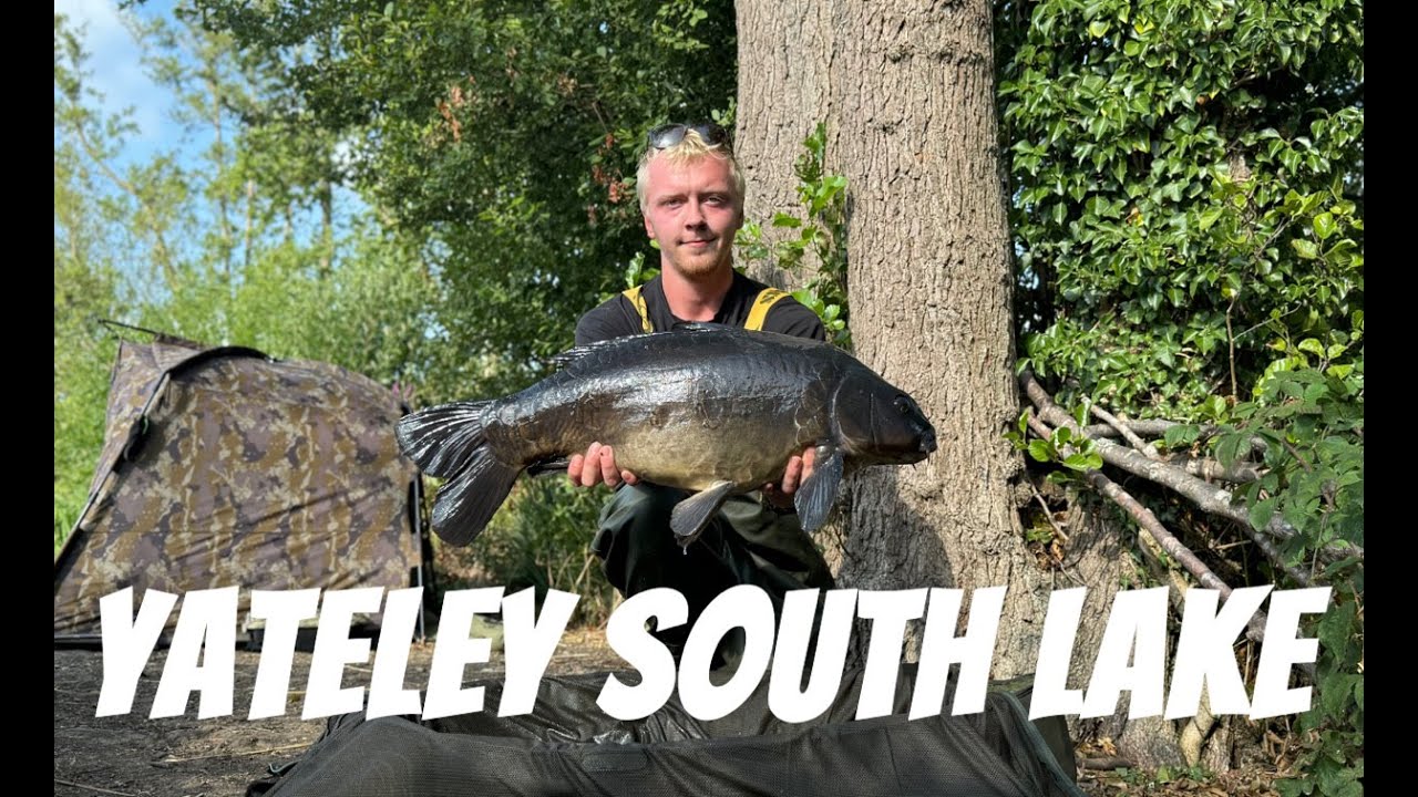 YATELEY HAUL!! Yateley south lake carp fishing 2025