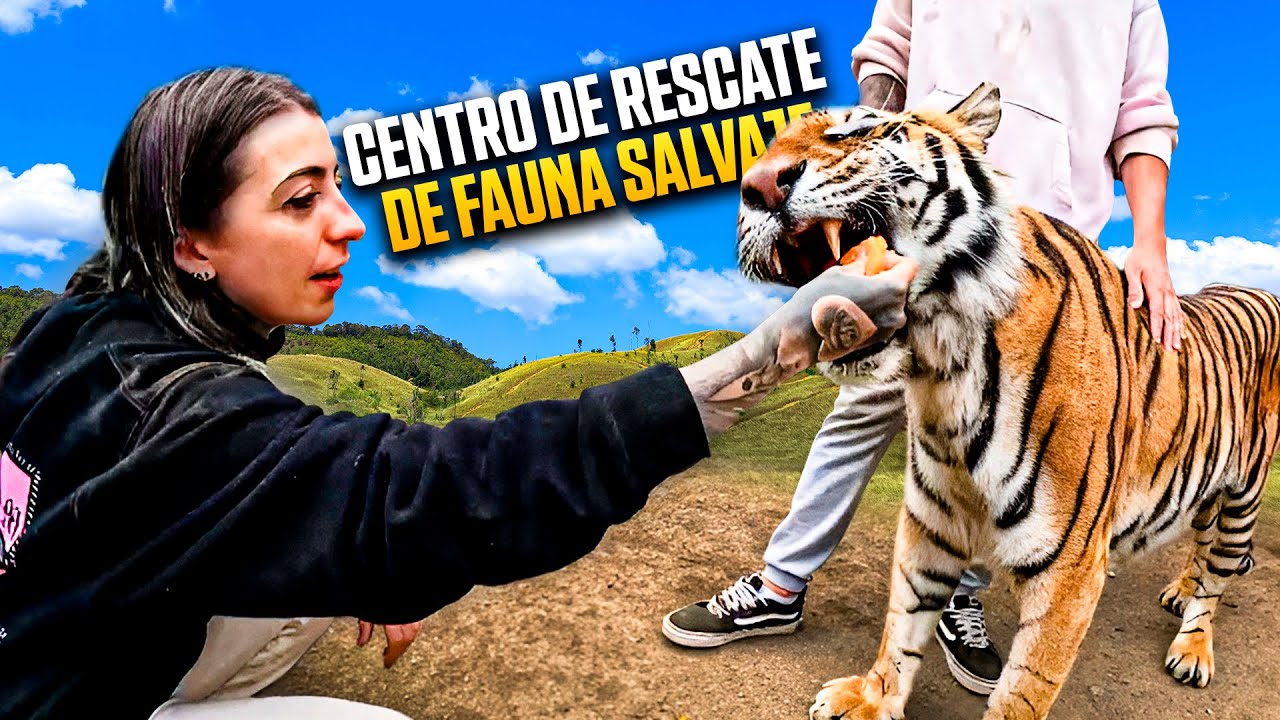 JUEGO CON ANIMALES SALVAJES Y PASA ESTO… 💖🐺🐯​ · VLOG EN CORAX FAUNA