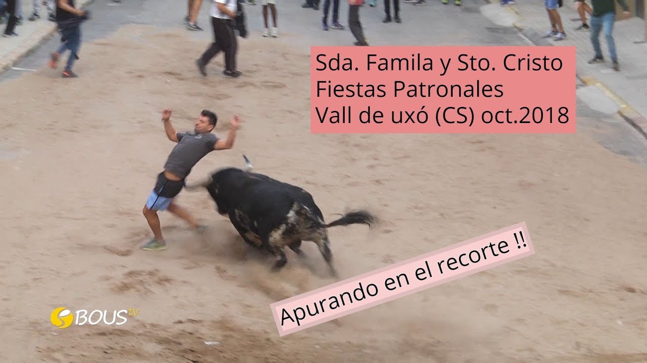 Fiestas Patronales de La Sagrada Familia -Toros de Torrestrella, Madroñiz, y el Parralejo.