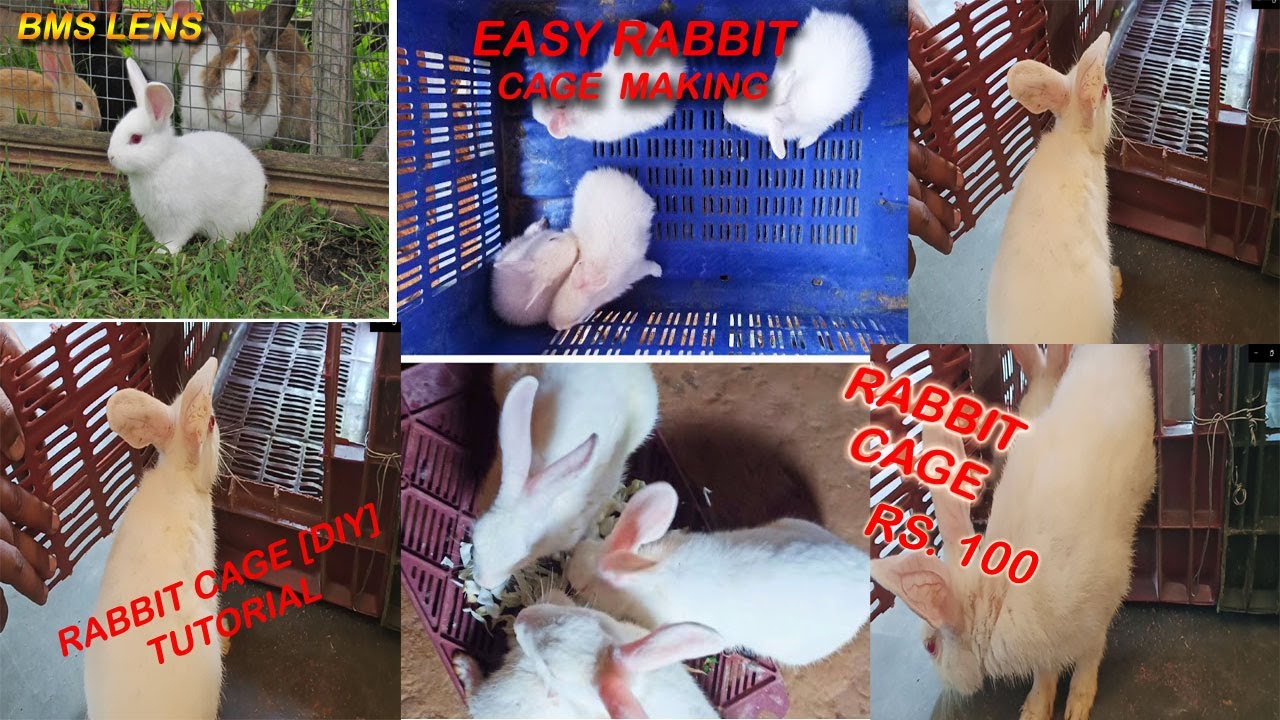 HOW TO MAKE RABBIT CAGE USING PLASTIC TRAY   #RABBIT_CAGE, #RABBIT_FARMING