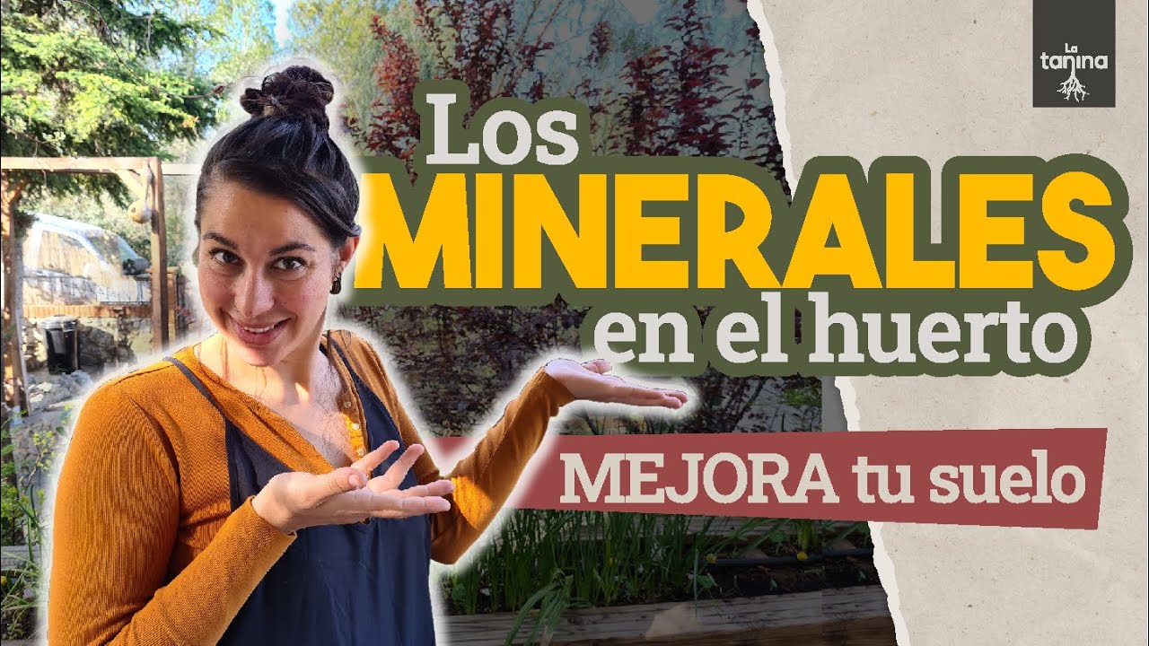 Prepara tu bancal y MEJORA TU SUELO😍🌻