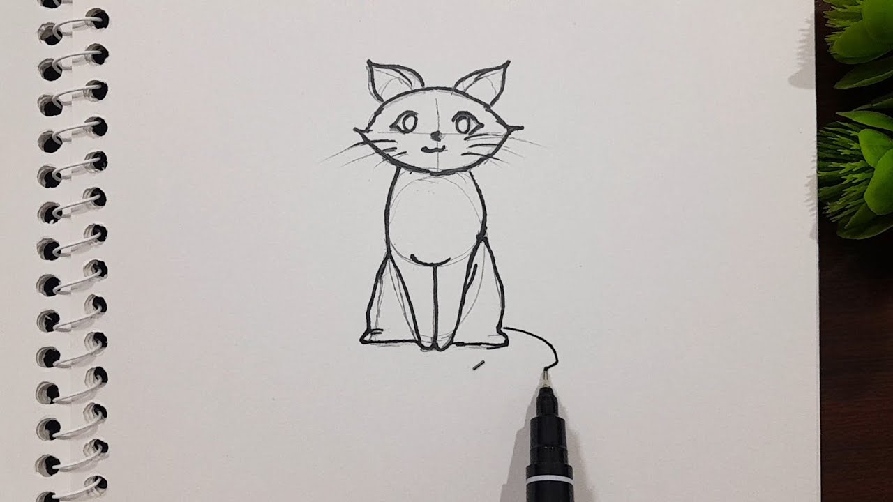 How draw a cat 🐈  || learning how draw  