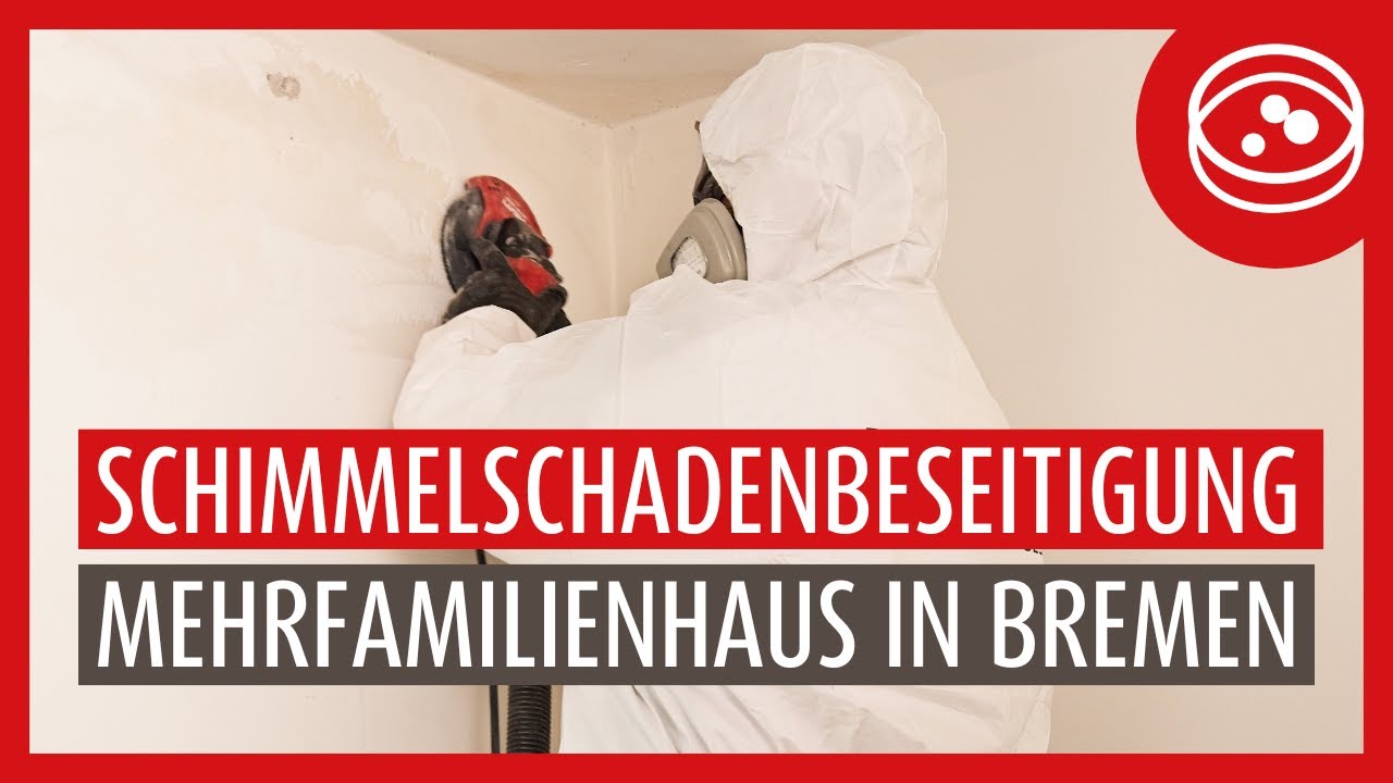 Professionelle Schimmelbeseitigung in Bremen – Nachhaltige Lösung mit ISOTEC-Klimaplatten
