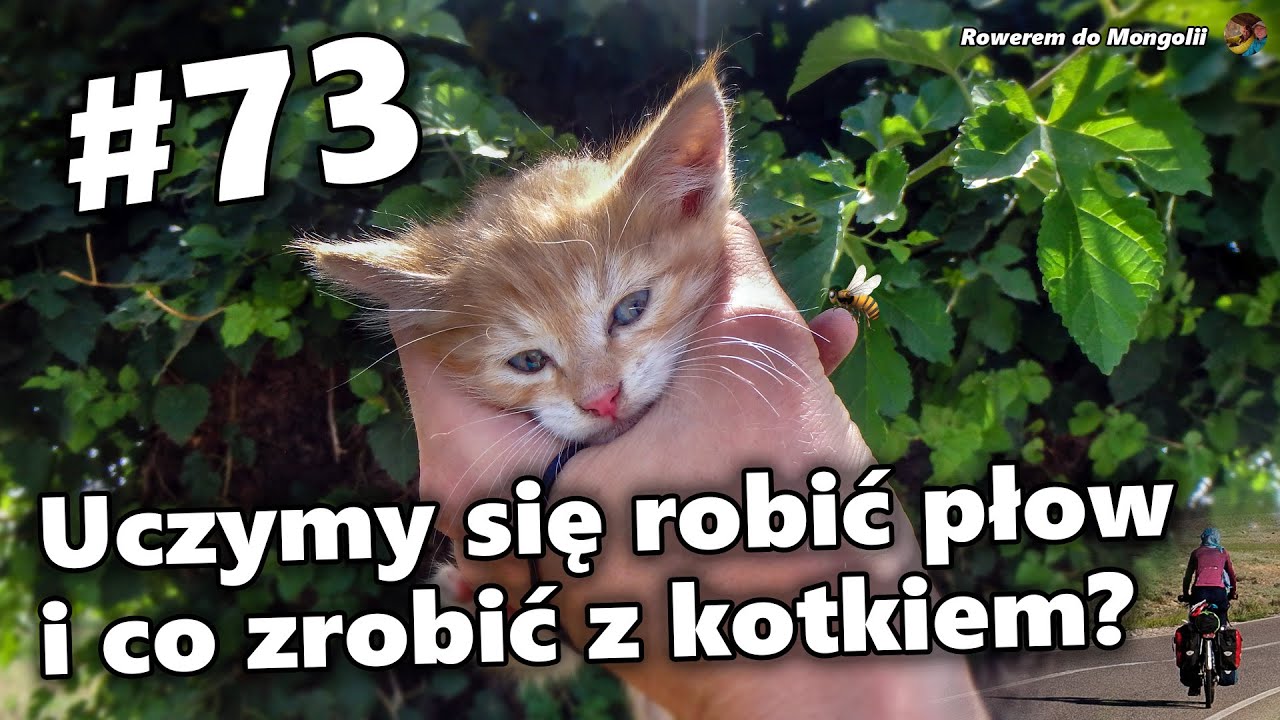 Rowerem do Azji Centralnej - #73 Uczymy się robić płow i co zrobić z kotkiem?