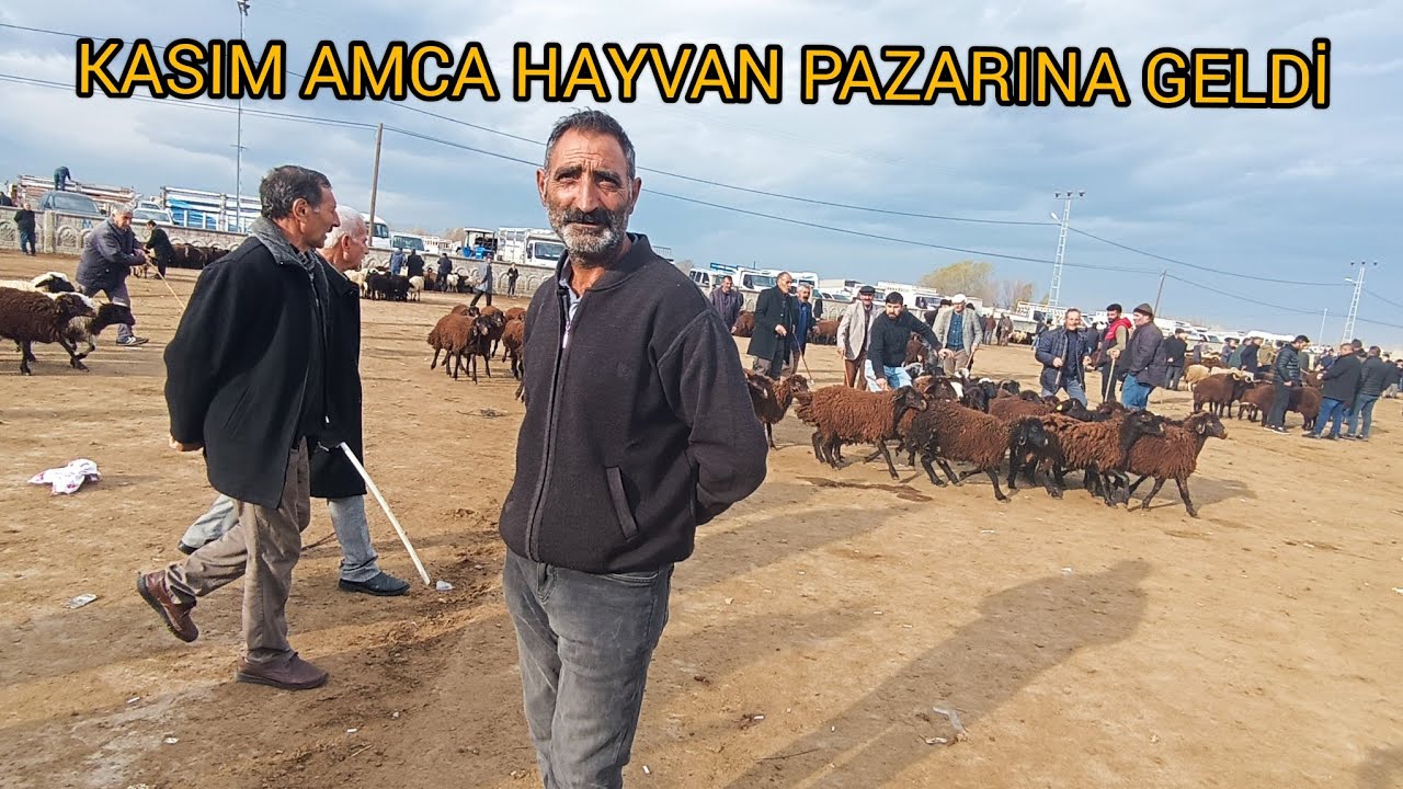 IĞDIR HAYVAN PAZARINDA SON DURUM   -- KASIM AMCA PİYASAYI ÖĞRENMEYE  GELMİŞ
