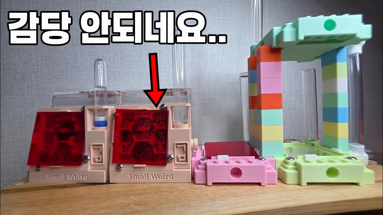 70일 만에 터지기 직전… 결국 사육장 추가했습니다