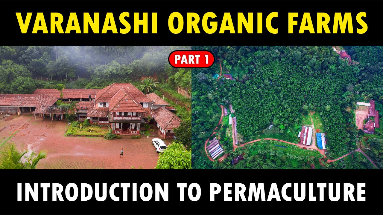 Introduction to PERMACULTURE FARMING | Varanashi Organic Farms | Sustainable Organic Farming