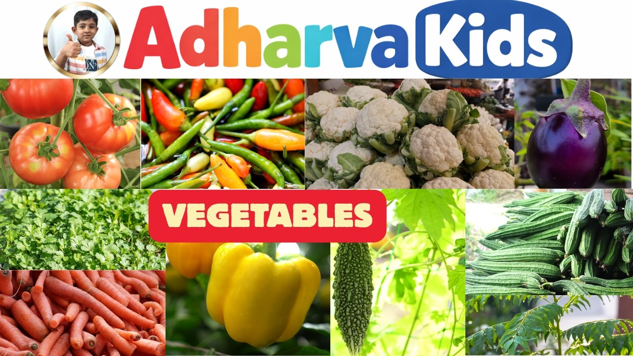 Vegetables name in English with pictures and videos, vegetables name video,