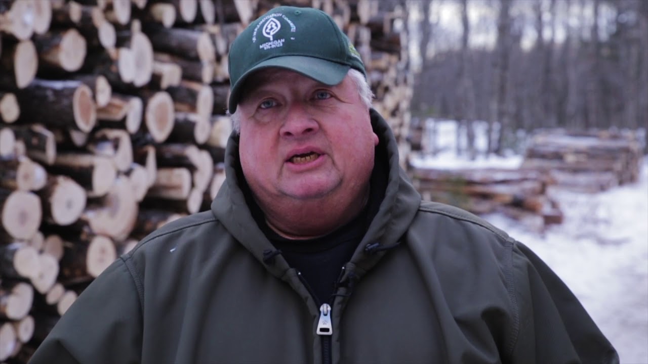 Forestry UP