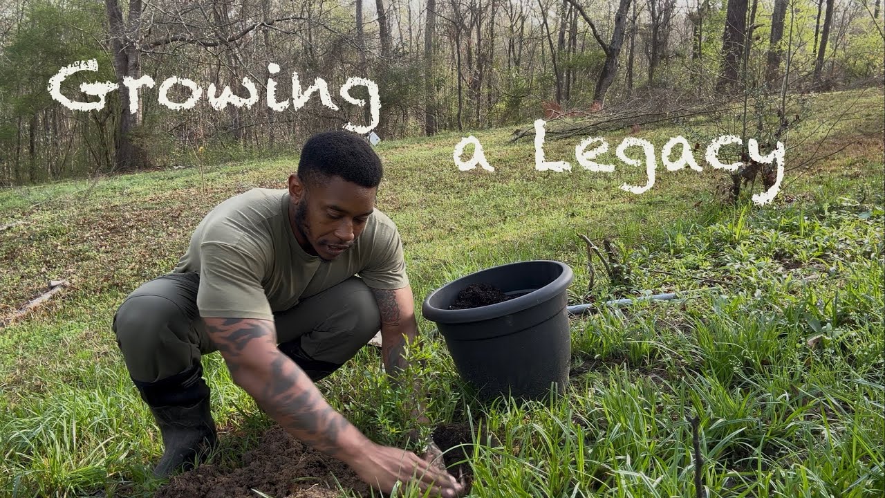 A Father’s Gift: A Tree That Will Grow With My Son