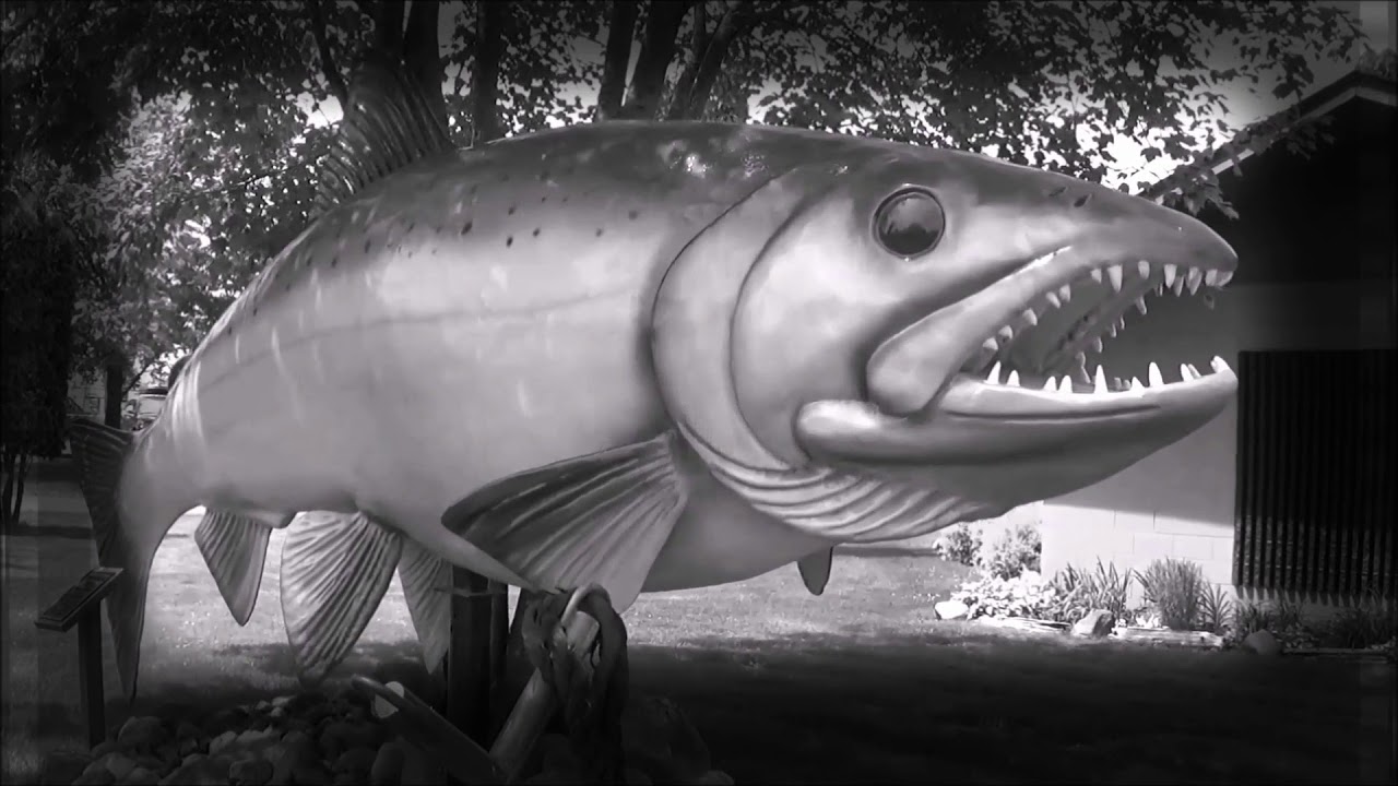 MuskyFest