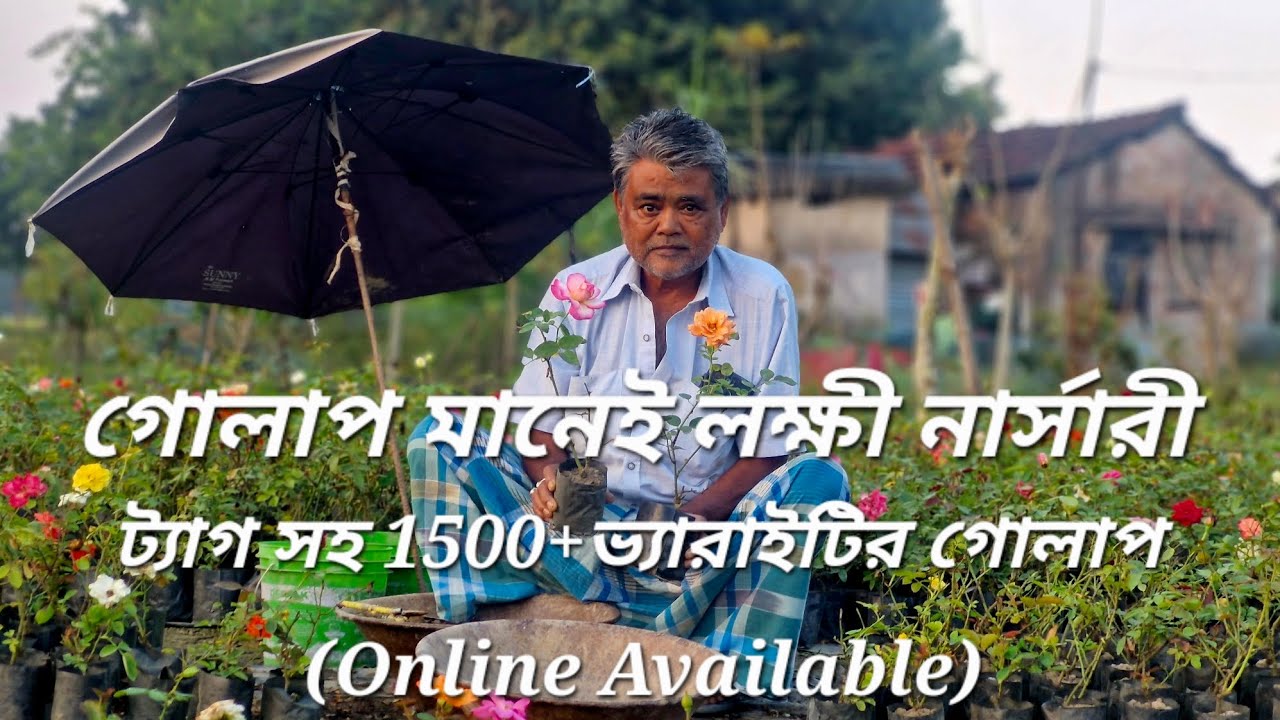 গোলাপের🌹ফ্যাক্টরি শিখরপুরের লক্ষী নার্সারীর 1500+ ভ্যারাইটির গোলাপ|Lakshmi Nursery|Rose Varieties|