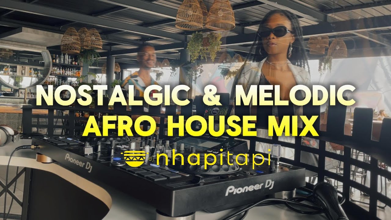 Melodic House Mix | dj Napi Tapi | February 2024