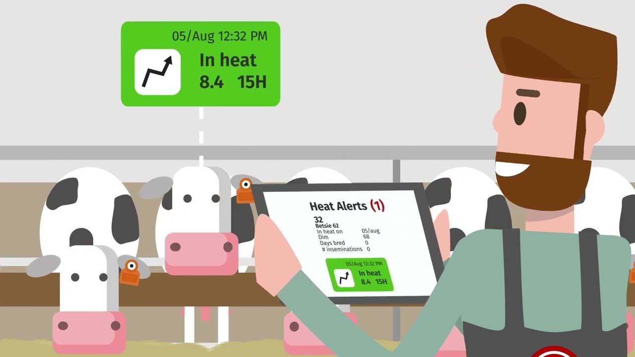 Smart & Simple: How the CowManager system works