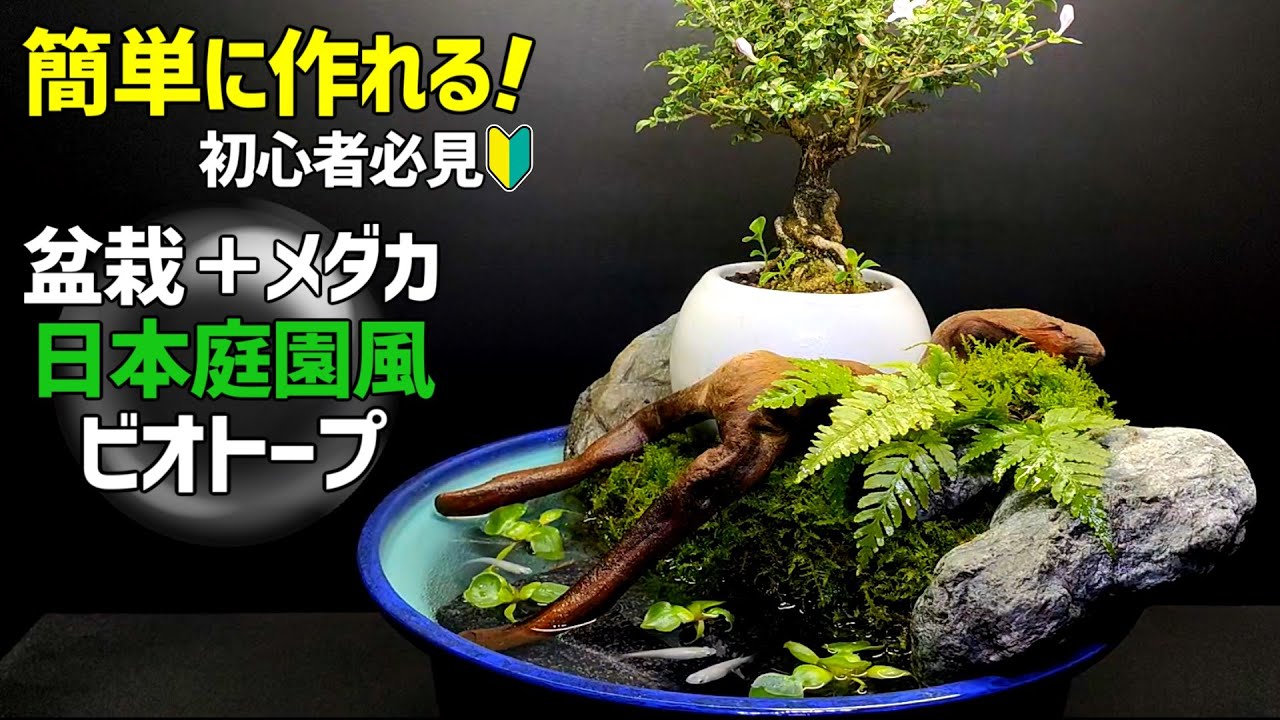 【超簡単】日本庭園風 睡蓮鉢ビオトープの作り方 /誰でも作れる本格的なメダカのビオトープ/和風ビオトープ