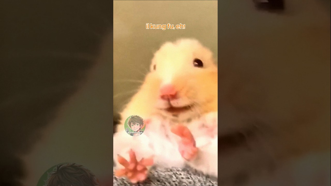 🐹 Vita da criceti