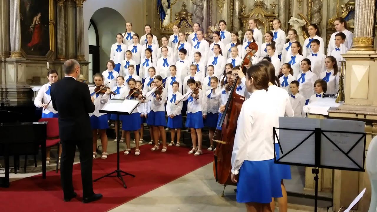 Motýli Šumperk - Stojí hruška
