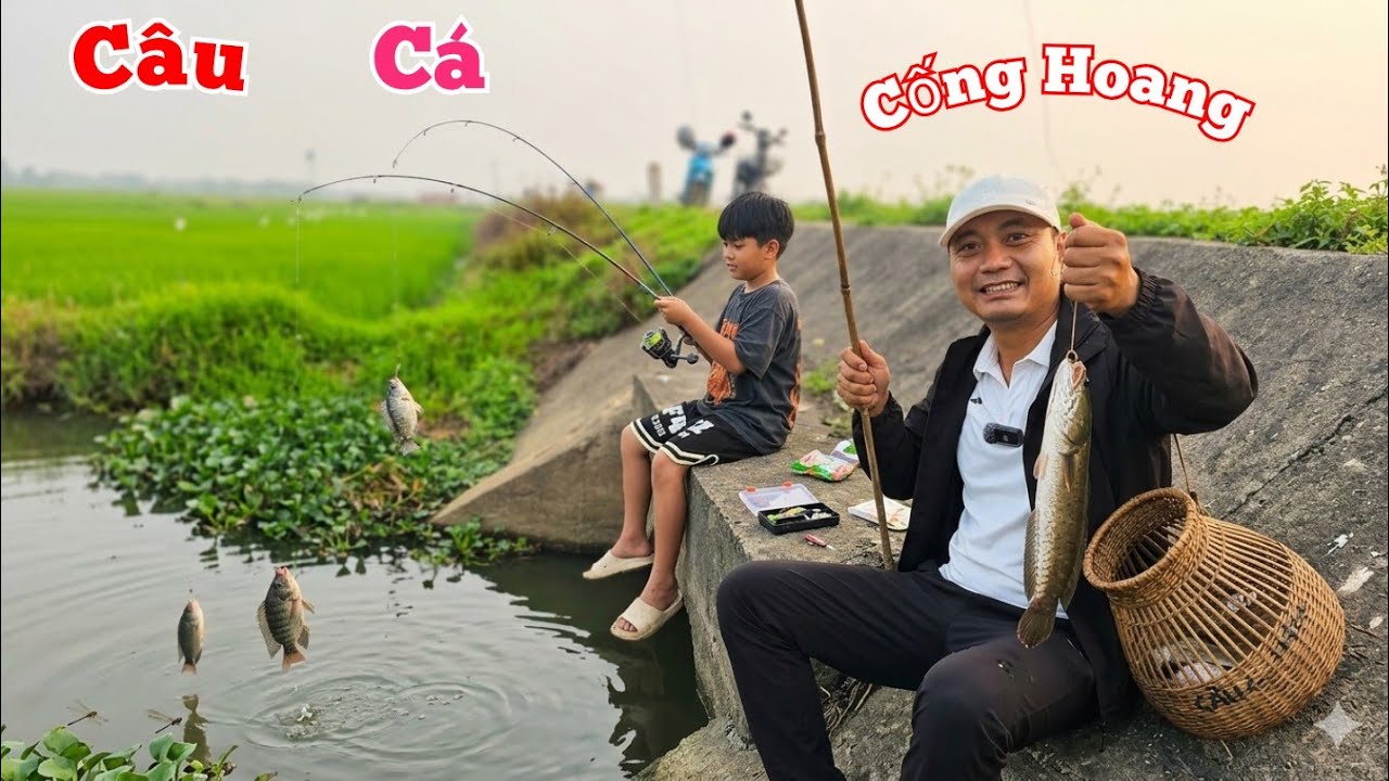 C&acirc;u C&aacute; Ở Cống Bỏ Hoang Xem Sao V&agrave; B&atilde;o Đơn Cao Ngựa Bạch Cho Kh&aacute;ch...