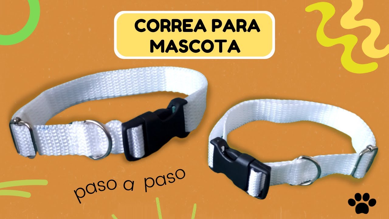 Cómo hacer collar para perro  |  $1dll 🐾