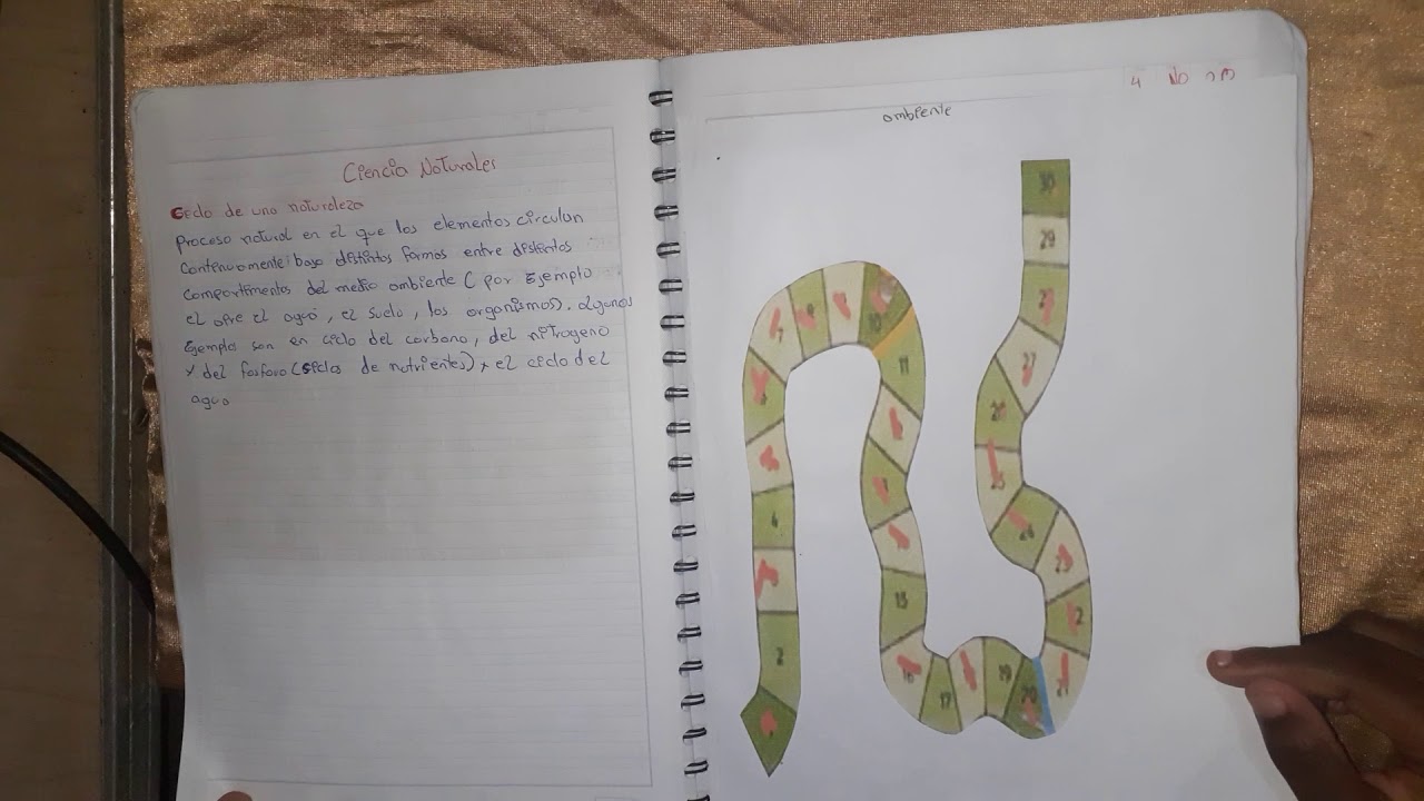 Proyecto 3 Anahi Mina