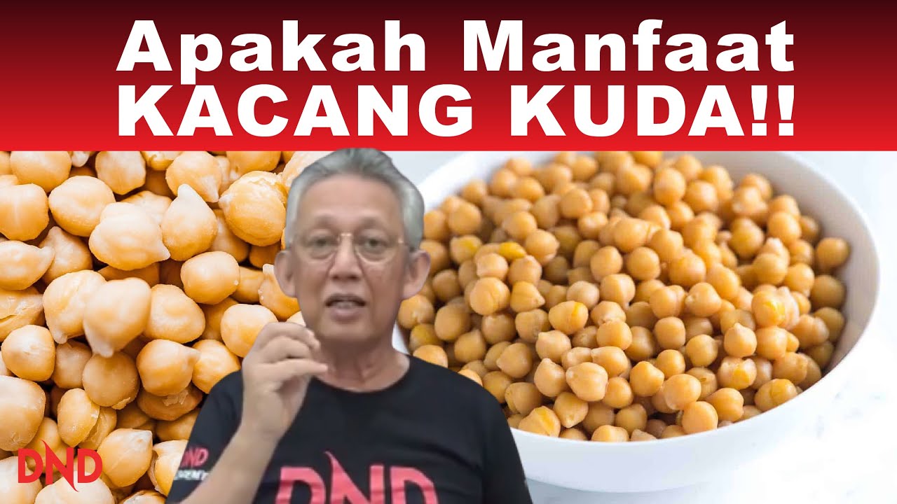 Apakah Manfaat KACANG KUDA!!