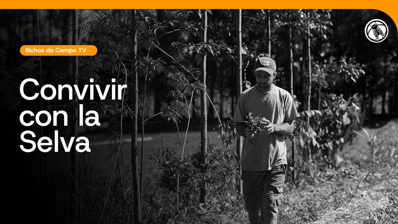 Bichos de Campo TV: Convivir con la Selva