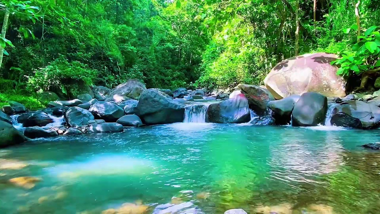 Forest River Natural Water Sounds, Mountain Stream, Sleeping