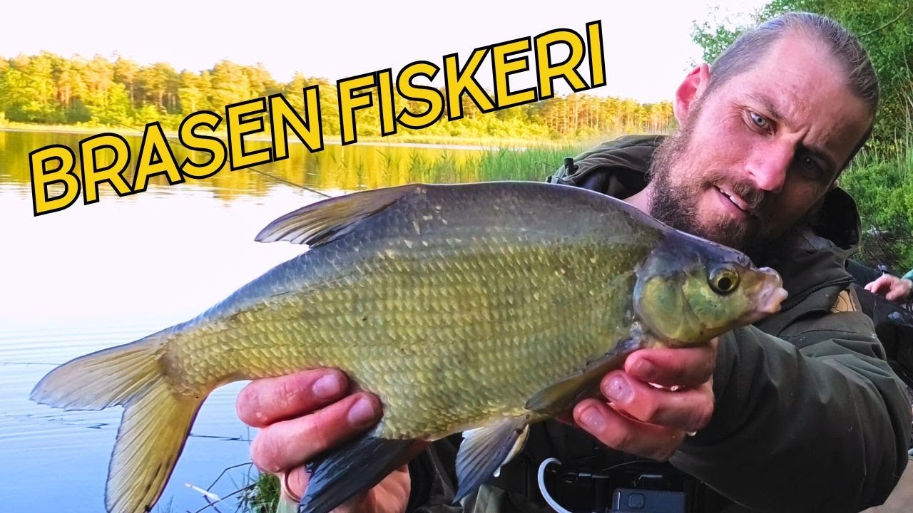 DANMARKS MEST SLIMEDE FISK !!!! // NATURNØRD 675