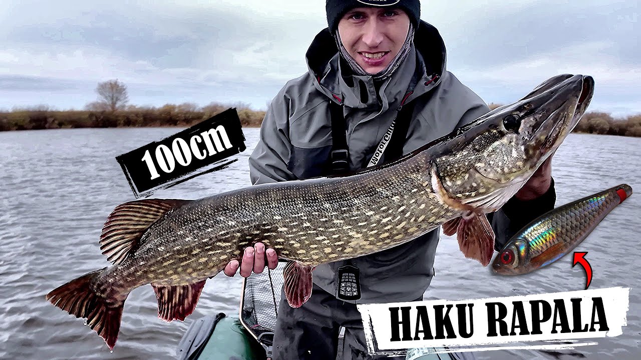 Nukando 1mm pavadėlį, bet vistiek ją pagavau. 100cm lydeka.