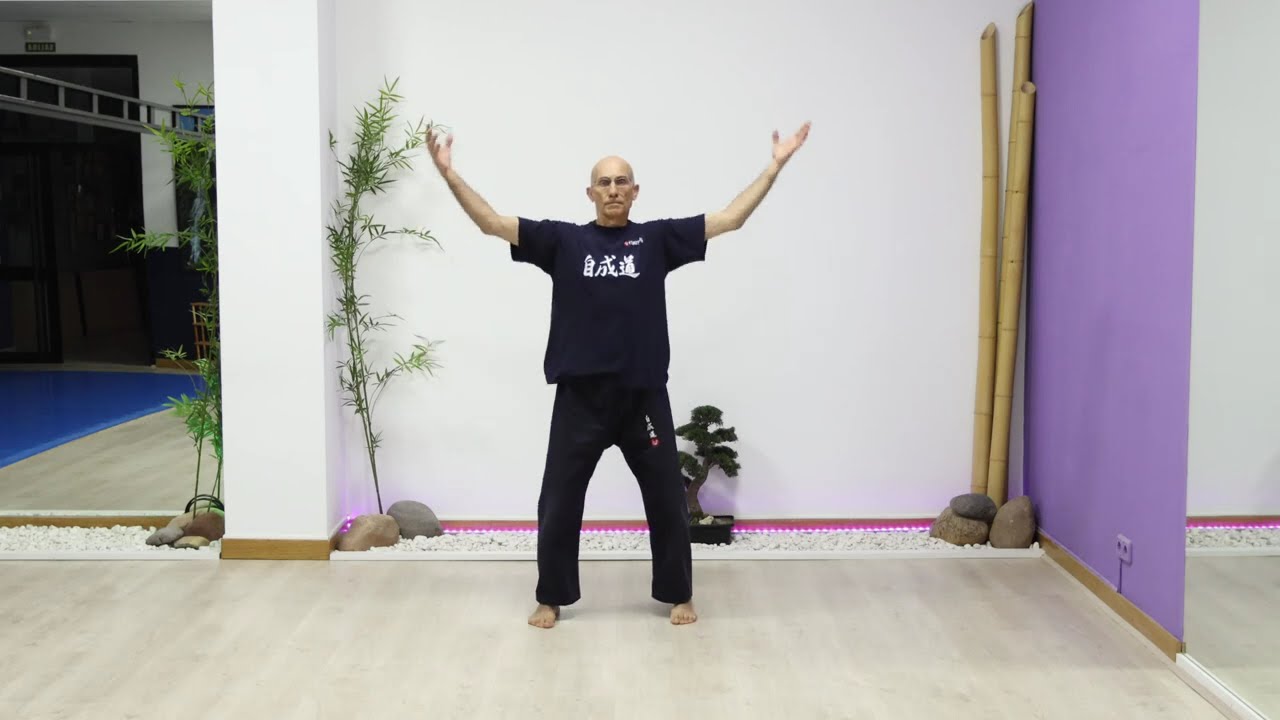 Secciones 1ª a 4ª. de la Forma de Tai Chi Chuan de las síntesis auténticas.