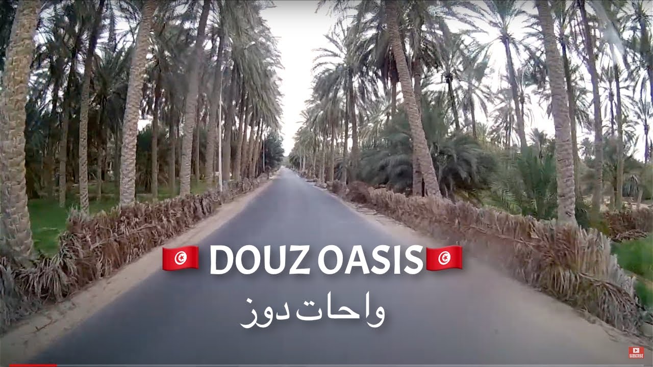 DOUZ OASIS - 🇹🇳 Tunisia 🇹🇳