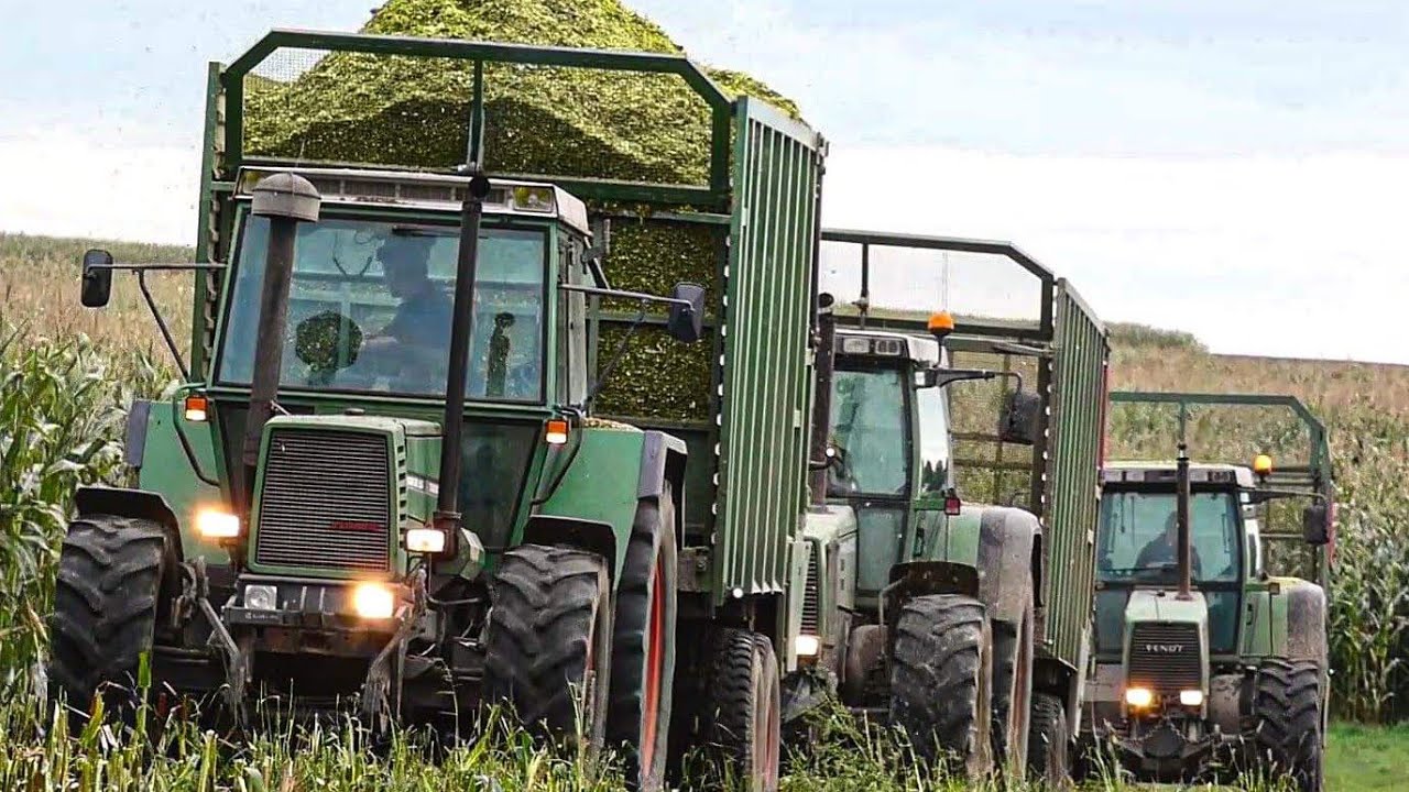 KUKURYDZA NA KISZONKĘ W GR.ŁUBA&U.R. GRĄDZKI✯PRZECHYLONY FENDT✯5xFENDT✯CLAAS✯MANITOU