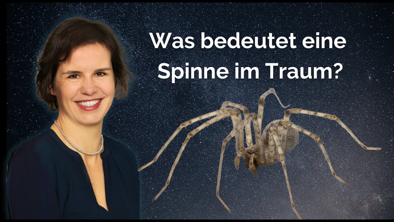 Hilfe, ich habe von einer Spinne geträumt! (Claudia Fügel)
