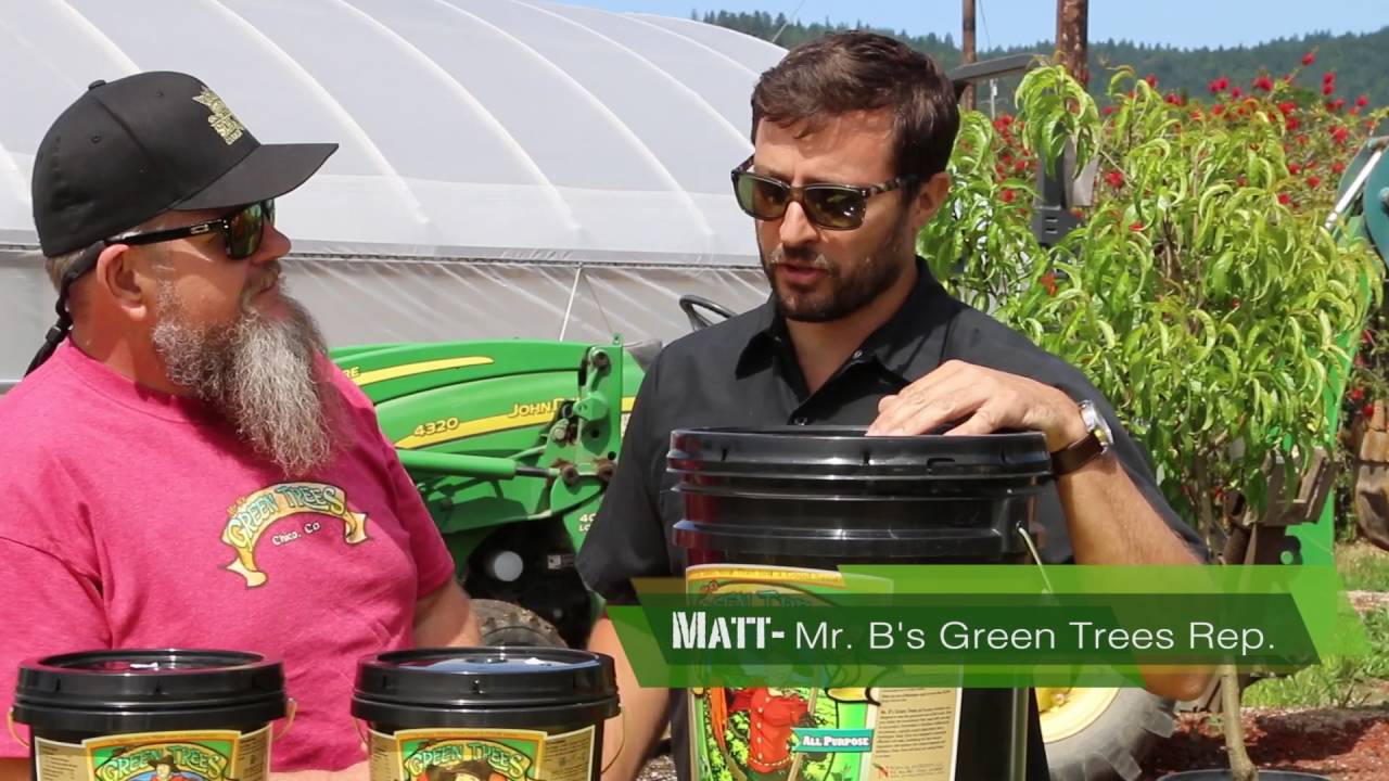 Soil King presents Mr. B's Green Trees: Application Demonstration