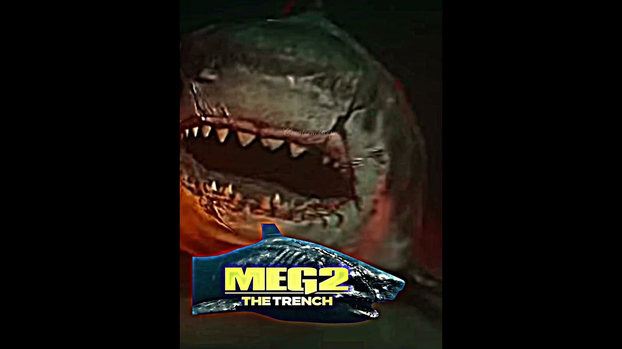 Megsvs Megs #megashark Vs #themeg #themeg2 #megalodon #asylum #edit #wisedit #sharkweek #shark